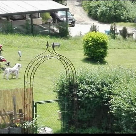 Ferienwohnung - Gruene Oase Щоках Екстериор снимка