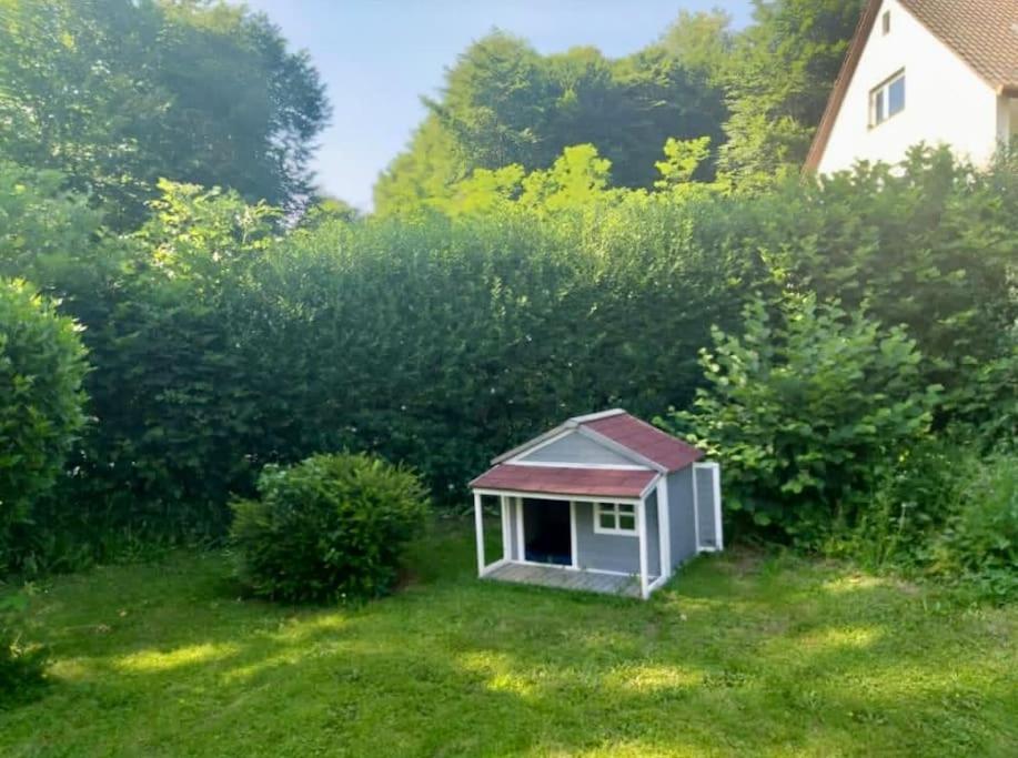 Ferienwohnung - Gruene Oase Щоках Екстериор снимка